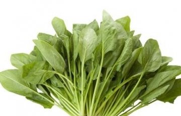 补血食物有哪些？枸杞，红枣，南瓜，菠菜，葡萄补血效果好4