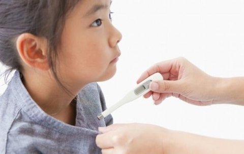 秋冬季感冒咳嗽老少皆宜的食疗方法3