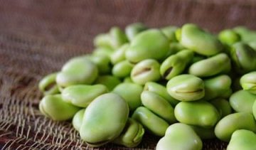 蚕豆可消除水肿，益气健脾，对身体健康有益4