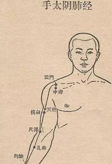 气虚喝【党参红枣茶】，脾胃壮则气足3