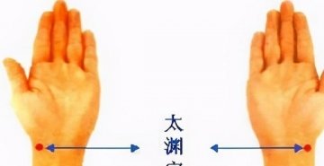 气虚喝【党参红枣茶】，脾胃壮则气足5