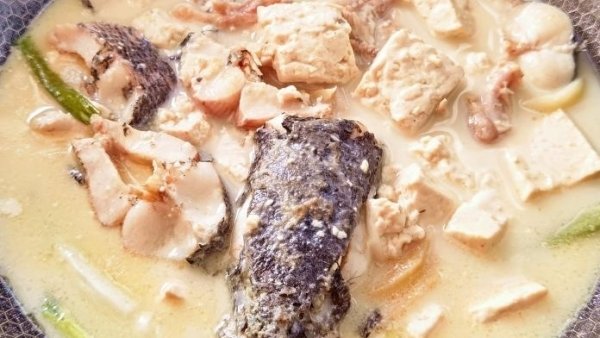 营养滋补，【黑鱼炖豆腐】吃真香2