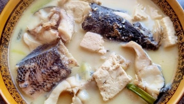 营养滋补，【黑鱼炖豆腐】吃真香4