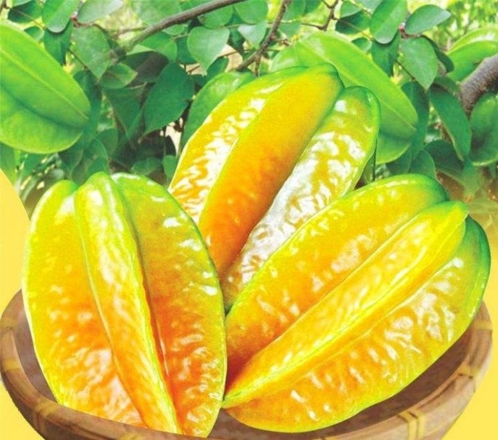 常吃这3类食物【大葱、杨...