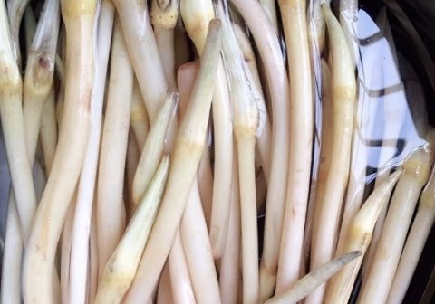 漂亮女人多吃【藕带】，痘痘消失了，补血嫩肤祛斑2