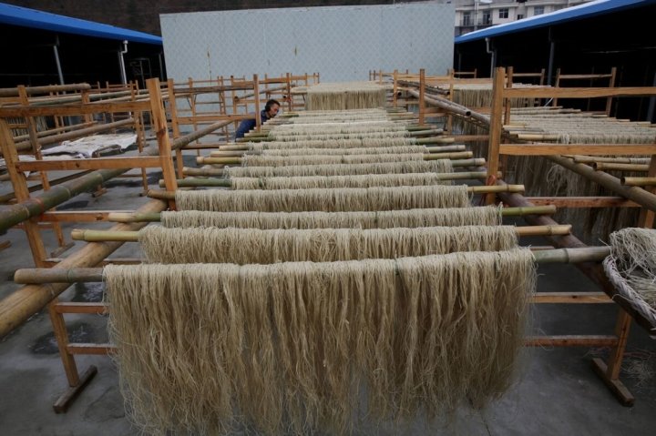 教你过年怎样选购粉条2
