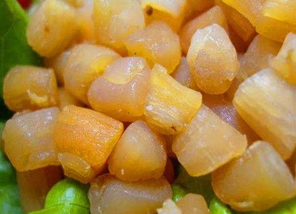 瑶柱是什么东西？