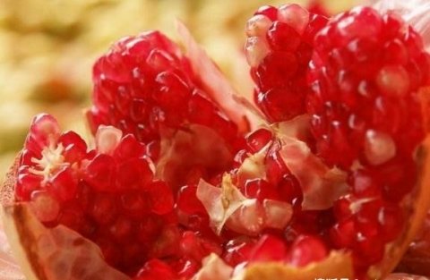 4种养胃水果【车厘子、石榴、桂圆、菠萝】2