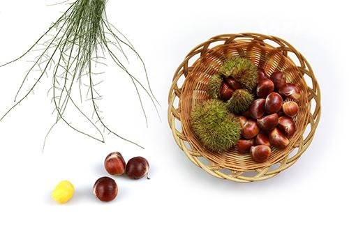 羊肉与栗子相克：二者都不易消化？2