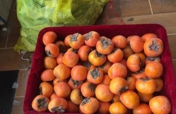 柿子的营养价值和功效以及食用禁忌2