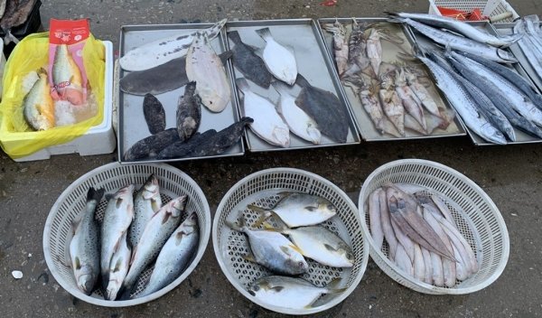 过年买鱼，建议挑这5种鱼，便宜又好吃1