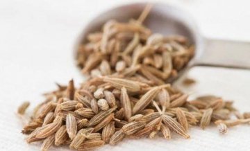 小茴香的功效有哪些？1