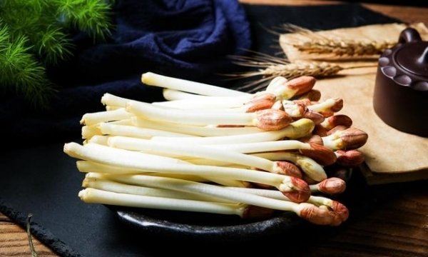 花生芽怎么培育?