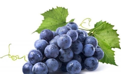 提高免疫力的食物有哪些？4