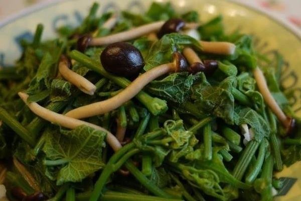 鲜菇炒龙须菜
