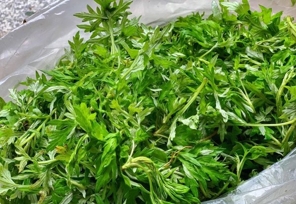 艾米果是什么草做的-艾米果的做法4