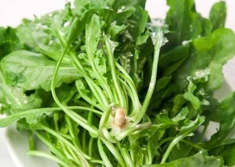 润肠通便的食物有哪些-润肠通便吃什么好3