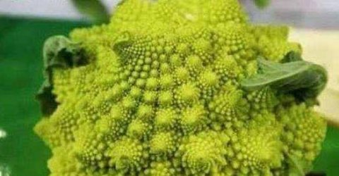 吃啥皮肤好-想要皮肤好吃...