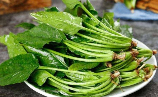 春季怎么养肝护肝-推荐6道护肝食谱6