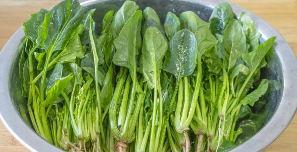 春季怎么养肝护肝-推荐6道护肝食谱8