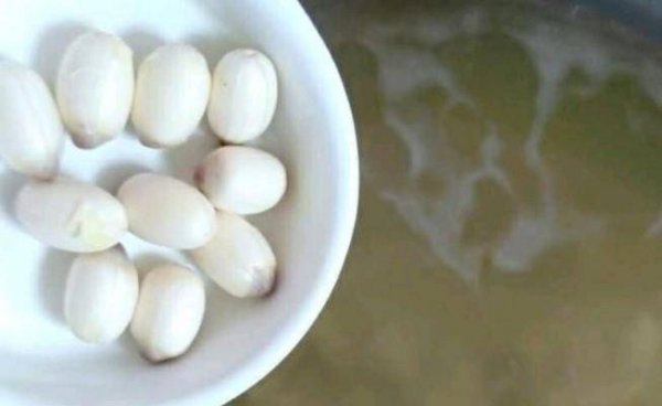 上火怎么办-上火可以吃什么降火6
