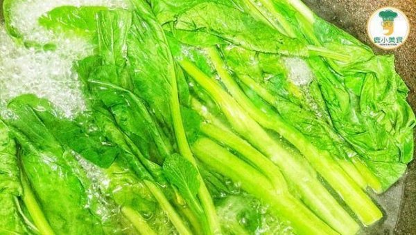 为什么要对食材进行焯水-各种食材焯水时间7