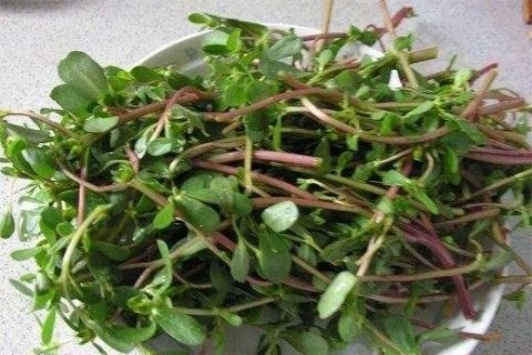 推荐3种补身体的食物1