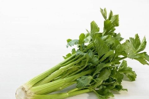 最刮油减肥的10种蔬菜和做法-适合春季减肥的刮油食谱11