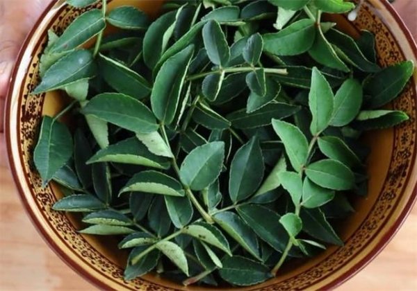 花椒叶怎么做好吃1