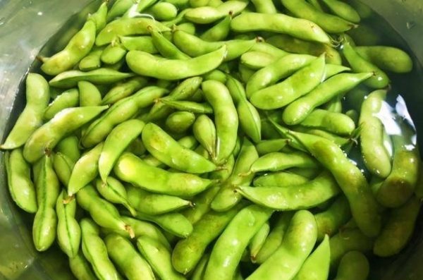 毛豆怎么煮不发黄-如何煮毛豆好吃不变色窍门4