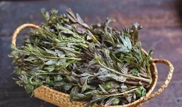 春分后吃什么好-春分后吃...
