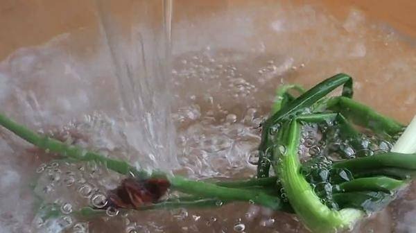 盐水鸭怎么做-盐水鸭的做法及配料5