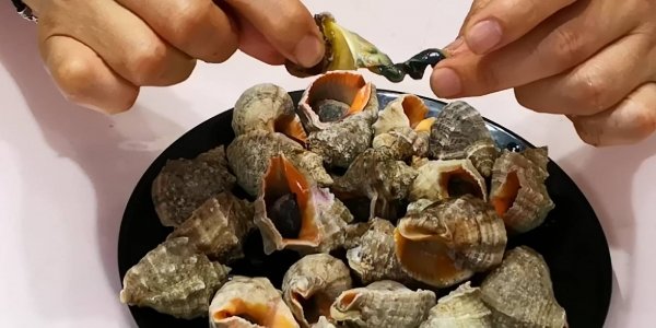 吃海螺哪不能吃-海螺的尾部到底是黄还是屎3