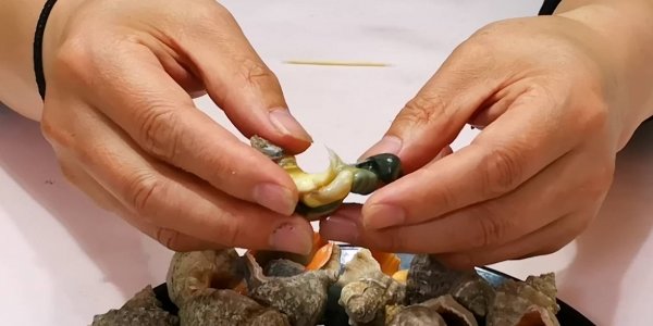 吃海螺哪不能吃-海螺的尾部到底是黄还是屎6