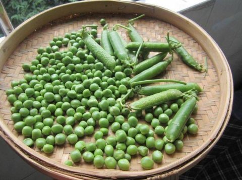 豌豆米怎么保存放的时间长？3