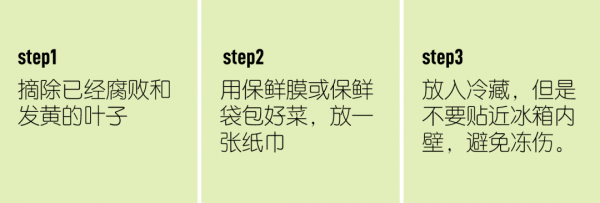 蔬菜怎样存放才能保持新鲜-蔬菜类怎么保存2
