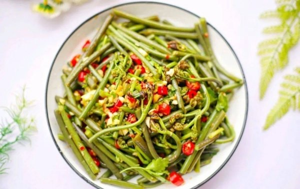 春天有些什么野菜-春天野菜的吃法20