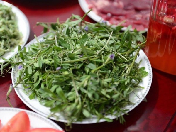 马豌豆怎么做口哨-马豌豆可以食用吗4
