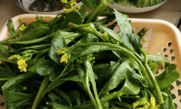 油菜花怎么做好吃-炝炒油菜花的做法2