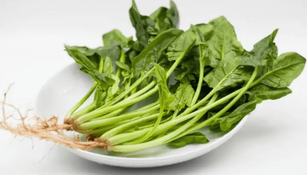 菠菜怎么做好吃-菠菜的做法大全1