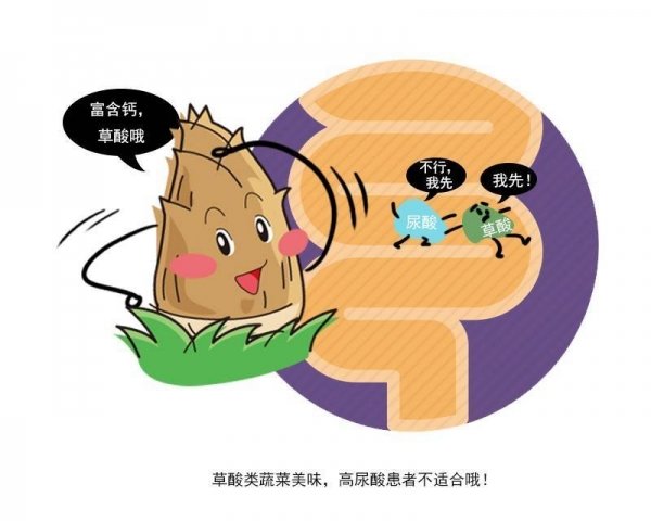 孕妇可以吃竹笋吗-竹笋的功效与作用3
