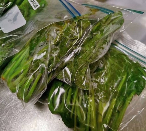 香椿怎么保存一年-香椿的保存方法有哪些8