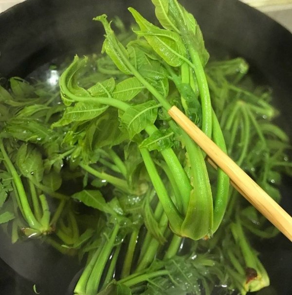 香椿怎么保存一年-香椿的保存方法有哪些9