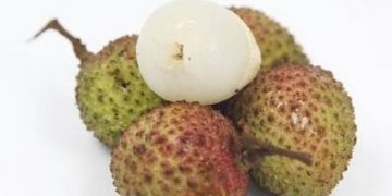 吃荔枝的好处和禁忌-荔枝的营养价值与食用功效1