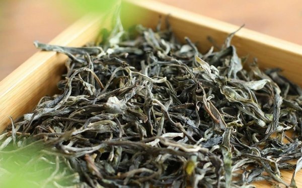 什么是猫耳朵茶-猫耳朵茶是哪里的产地1