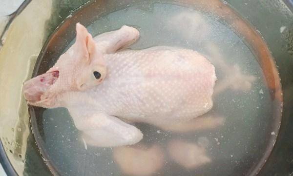鸽子汤需要先焯水吗-鸽子汤的功效与作用3