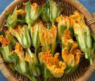 南瓜花的功效和作用是什么-南瓜花的做法大全1