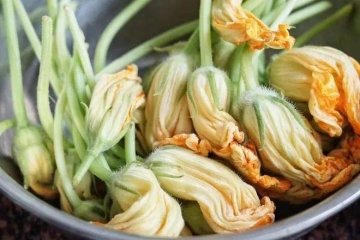 南瓜花的功效和作用是什么-南瓜花的做法大全2