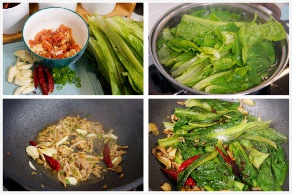 小满食苦菜的风俗由来-苦味菜有哪些7