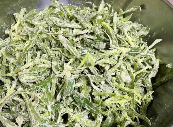 面条菜俗称什么菜-面条菜怎么做好吃4